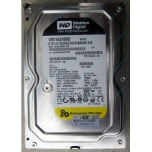 Жесткий диск 160Gb WD WD1602ABKS SATA (Чебоксары)