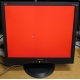 Монитор 19" ViewSonic VA903b (1280x1024) есть битые пиксели (Чебоксары)