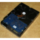 Электроника HDD 500Gb Hitachi HDS721050DLE630 (Чебоксары)