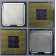 Процессоры Intel Pentium-4 506 (2.66GHz /1Mb /533MHz) SL8J8 s.775 (Чебоксары)