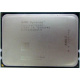 AMD Opteron 6128 OS6128WKT8EGO (Чебоксары)