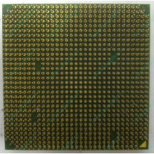 Процессор AMD Sempron 3000+ (1.6GHz) SDA3000IAA3CN s.AM2 (Чебоксары)